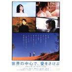 世界の中心で、愛をさけぶ スタンダード・エディション/行定勲(監督),大沢たかお,柴咲コウ,