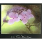  красивый синий . Donna u/ we n подросток ...