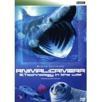 ANIMAL:CAMERA 3.Technology in the wild/BBC Wildlife Exclusives/(ドキュメンタリー)