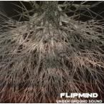 UNDER GROUND SOUND/FLIP MIND