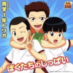 テニスの王子様:ぼくたちのしっぱい/青学