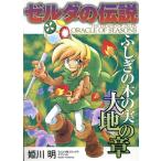 ゼルダの伝説 ふしぎの木の実大地の章 てんとう虫CSP/姫川明(著者)