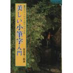 美しい小筆字入門 基本からわかる細字の手本集/富谷栄三郎【著】　