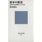 哲学の歴史 哲学は何を問題にしてきたか 講談社現代新書977/新田義弘【著】