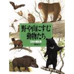 .. гора ... животное .. японский млекопитающие книга с картинками иллюстрированная книга серии 10/. внутри правильный .[ произведение ]