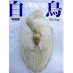  лебедь k.-k специальный /... 2 [ работа ]