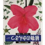 植物のかんさつ 講談社パノラマ図鑑16/矢野亮【文】,渡辺晴夫【写真】