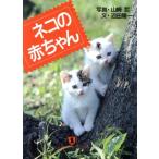 ネコの赤ちゃん ノン・ポシェットノン・ポシェット・ビジュアル/沼田陽一(著者),山崎哲