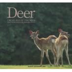 Deer CREATURES OF THE WILD Sato .. фотоальбом / Sato ..( автор )