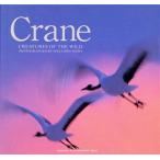 Crane мир рисовое поле правильный . фотоальбом синий . фирма фото графика серии / мир рисовое поле правильный .( автор )