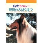 名犬ラッシー　野原の大ばくはつ みんなのライブラリー１９／ナンシー・Ｅ．クラリック【作】，道免智世子【訳】，堀田篤子【絵】