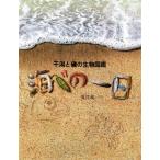 海べの一日 絵本図鑑シリーズ16/夏目義一(著者)　