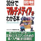 30分でマルチメディアがわかる本 図解イラスト200点/マルチメディア情報研究会(編者)　
