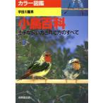  цвет иллюстрированная книга маленькая птица различные предметы хорошо сделанный ... person ... person. все /. рисовое поле река дракон мужчина ( автор )