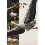  небеса ...kounotoli. холм город. . сырой возвращение военная операция / Sato один прекрасный ( автор )