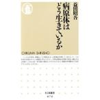 �a���̂͂ǂ������Ă��邩 �����ܐV��/�v�c����(����)