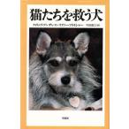  кошка ..... собака / Philip * темно синий The отсутствует ( автор ), задний no-* fly автомобиль -( автор ), внутри рисовое поле ..( перевод человек )