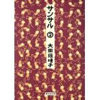  солнечный обезьяна (2)/ большой рисовое поле ...( автор )