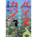 パイヌカジ 沖縄・鳩間島から/羽根田治(著者)