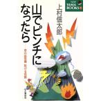 山でピンチになったら 思わぬ危機 防げる危険 YAMA BOOKS/上村信太郎(著者)