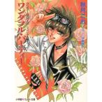 ワンダフル・パーティー スペシャル編2 ワンダーBOY10 パレット文庫ワンダ-boy10(スペシャル編2)/　