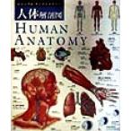  тело человека анатомия map visual ti расческа .na Lee 16/DK( сборник человек ), такой же .. редактирование часть ( сборник человек ), маленький .. история ( перевод человек ),.