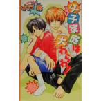 父子家庭は大わらわ！ ECLIPSE ROMANCE/水戸泉(著者)