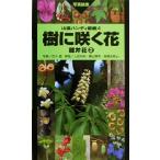 .... цветок .. цветок (2) гора . портативный иллюстрированная книга 4/. дерево ., высота . превосходящий мужчина,. гора блестящий мужчина, Ishii Британия прекрасный, Oota 