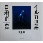  дельфин. море ... лес /. Цу .