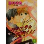 ヴァニラな花嫁くん シャレード文庫/藤村裕香(著者)