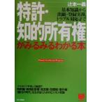 特許・知的所有権がみるみるわかる本 基本知識から出題・登録実務、トラブル対応まで PHPビジネス選書/辻本　