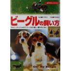  Beagle. .. person симпатичный ...... Beagle . легко ... поэтому . love собака selection / Kobayashi весна Хара, средний остров подлинный .