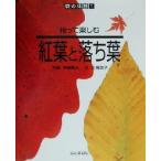 拾って楽しむ紅葉と落ち葉 森の休日１／片桐啓子(著者),平野隆久