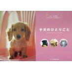 子犬のひとりごと/森田米雄　