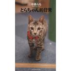 to. Chan . повседневный / Nakajima Ramo ( автор )