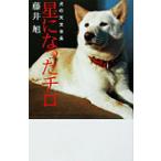 星になったチロ イヌの天文台長 私の生き方文庫/藤井旭(著者)