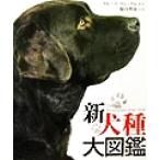  новый собака вид большой иллюстрированная книга / блюз four gru( автор ), Fukuyama Британия .