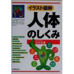 イラスト図解 人体のしくみ イラスト図解/坂井建雄(著者)