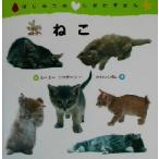 はじめてのしかけずかん ねこ はじめてのしかけずかん/今泉忠明,高橋和枝　