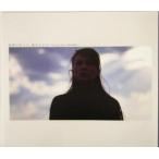 世界の中心で、愛をさけぶ visual story book/杉山芳明(著者)