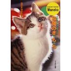 和猫のき・も・ち 大好きだから知りたい/猫の手帖編集部(編者)　
