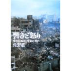 ...... раз. пейзаж * авария. . угол /... один ( автор )