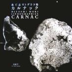 カルナック 森仁志リトグラフ集/森仁志(著者)