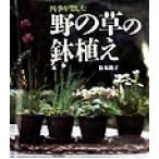 四季を楽しむ 野の草の鉢植え/松本尚子(著者)　