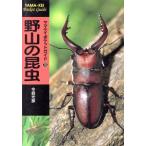 . гора. насекомое yama Kei карман гид 10/ сейчас лес свет .( автор )