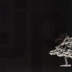 .jp/jaz*presso, река . широкий Akira (tb,fl),... история (b), больше рисовое поле Mizuho (p), река .. один (flh), Matsuo правильный .(perc),