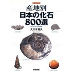  производство земля другой японский окаменелость 800 выбор шт. смотреть окаменелость музей / большой . дерево мир .( автор )