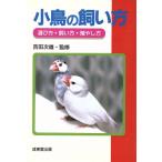  маленькая птица. .. person / Yoshida следующий самец 