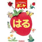 chi...... Pocket (. .) в любое время везде / иллюстрированная книга 