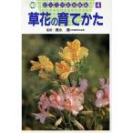 草花の育てかた ジュニア自然図鑑4/植物　